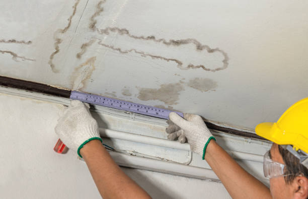 Reliable Water Damage Repair contractor in Freeport, IL by Hirex Water Damage
